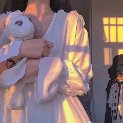 乱世伤痕:末代总督的秘密
